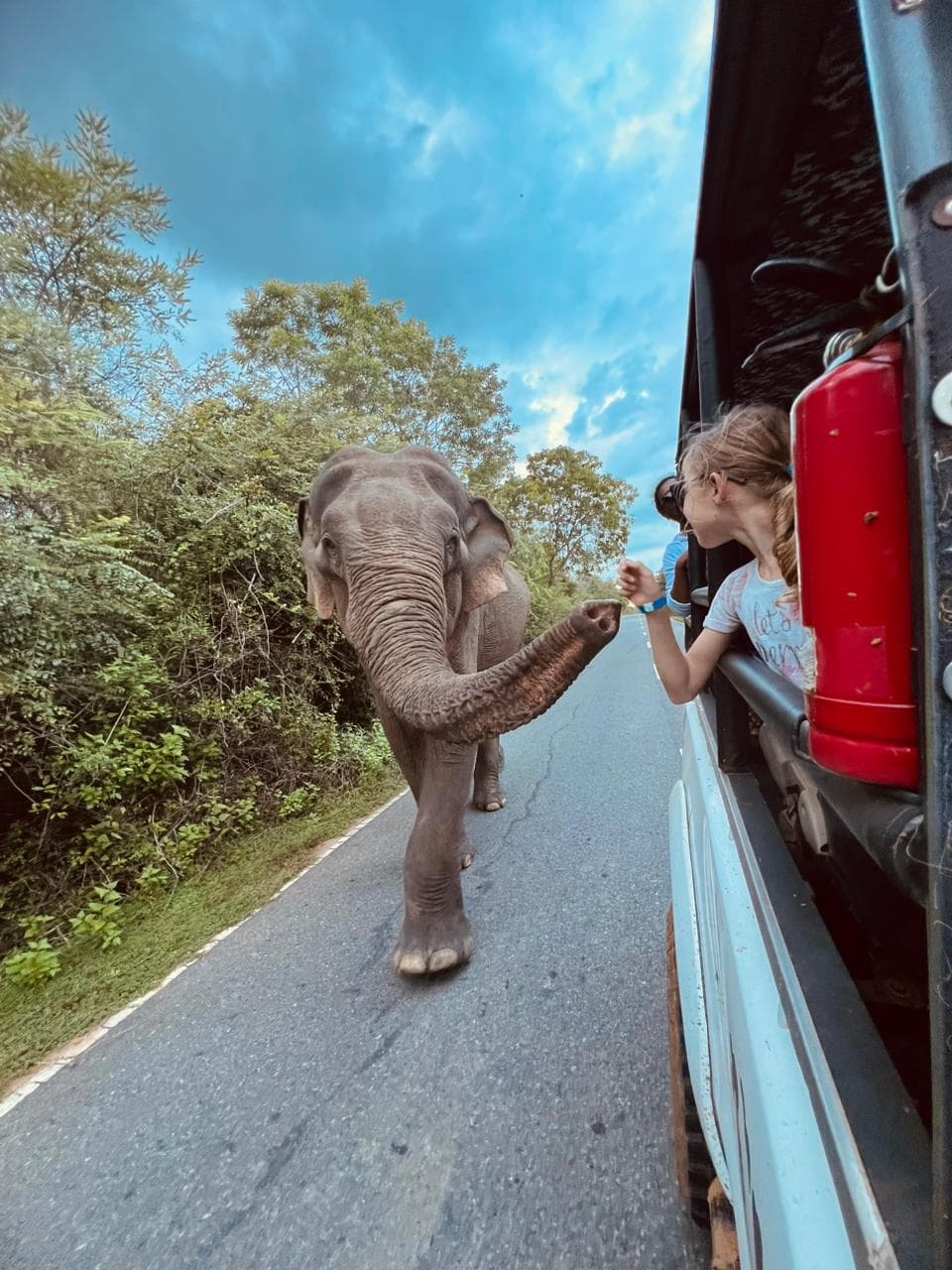 Safari moment 2
