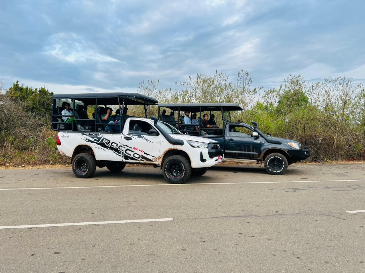 Safari moment 9